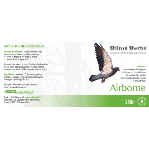 Airborn pour pigeon de Hilton Hebrs